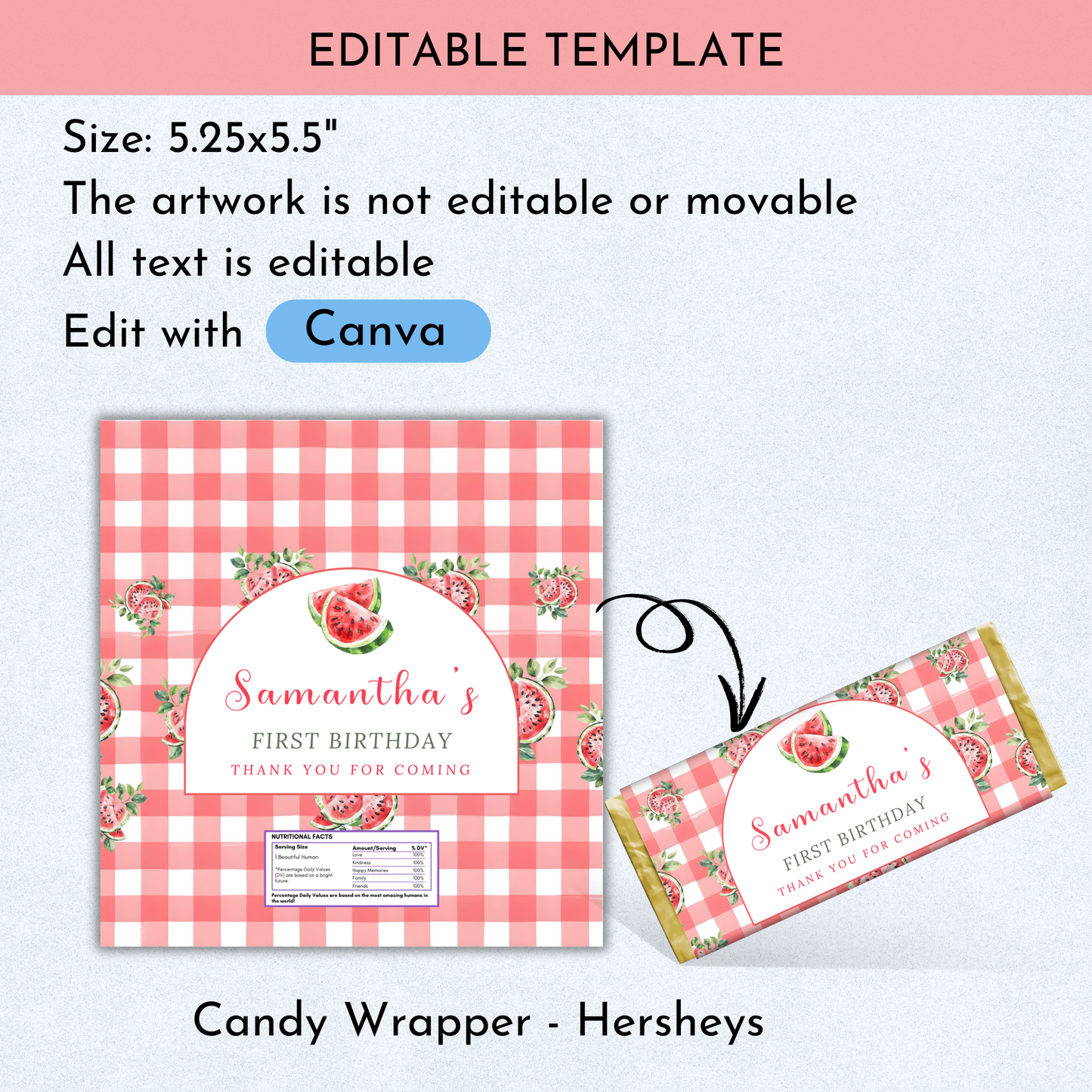 Watermelon Birthday Favor Bundle