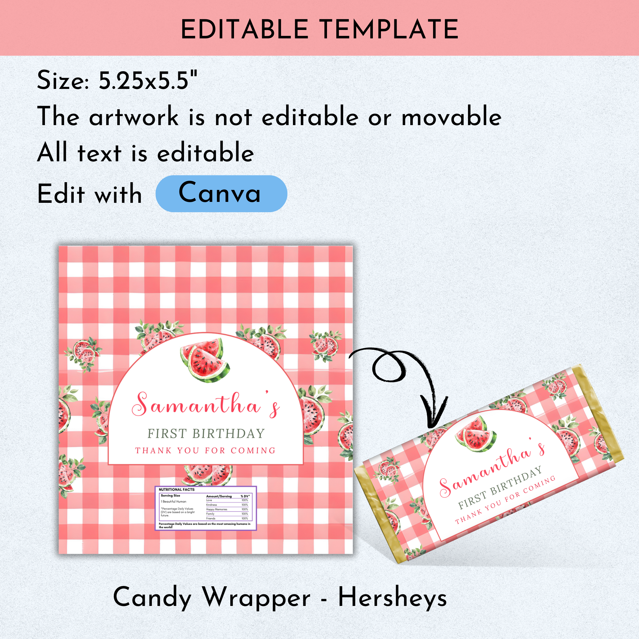 Watermelon Birthday Favor Bundle