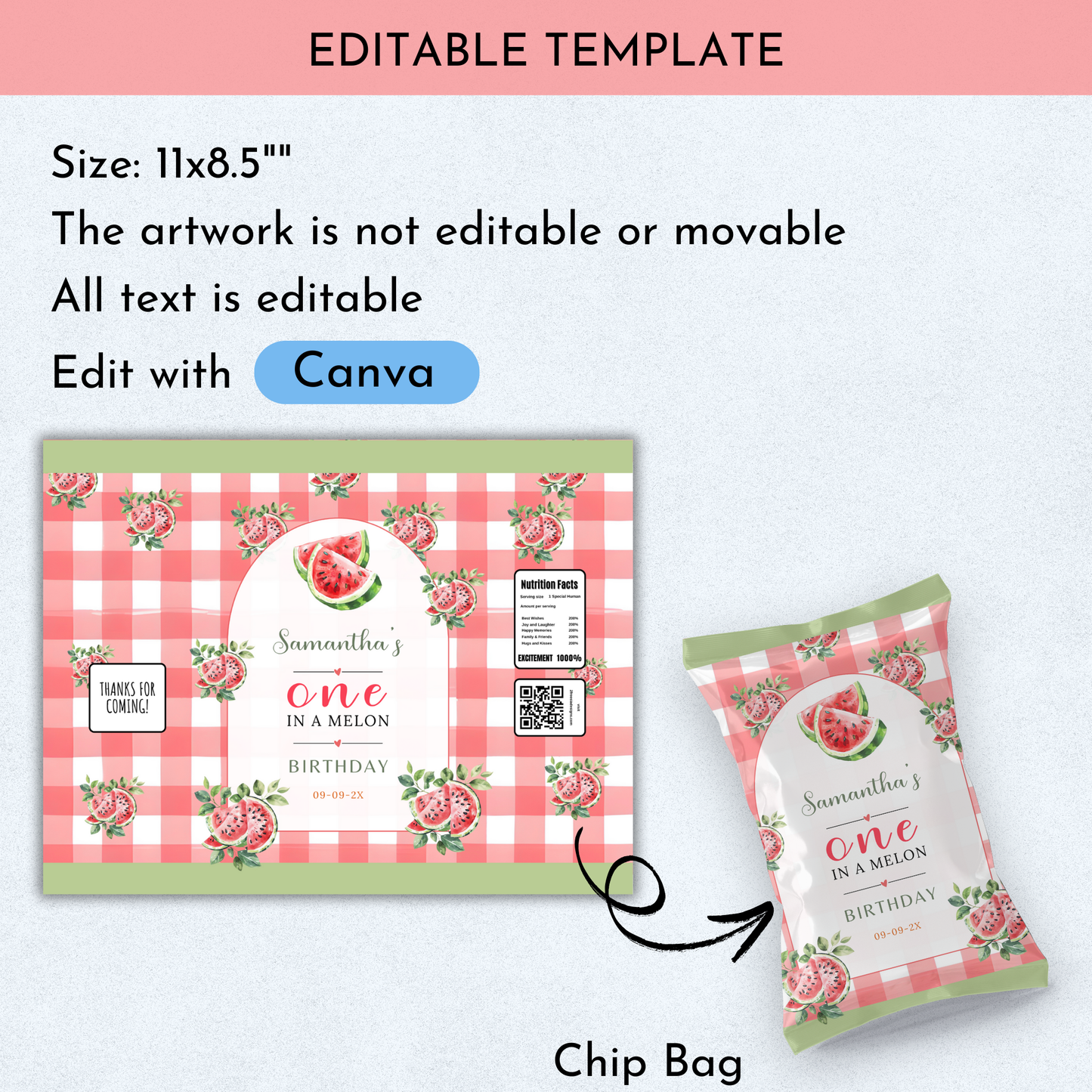 Watermelon Birthday Favor Bundle
