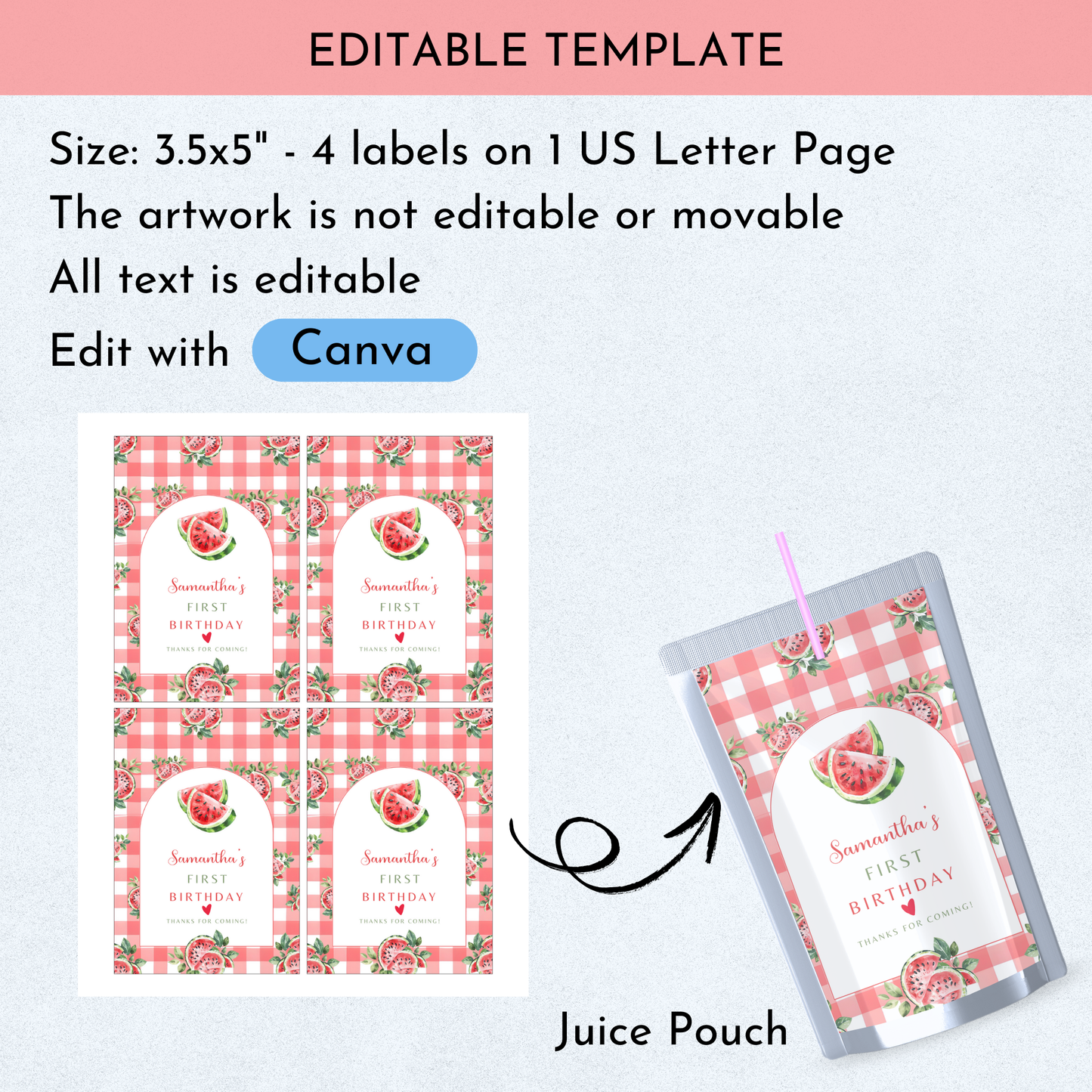 Watermelon Birthday Favor Bundle