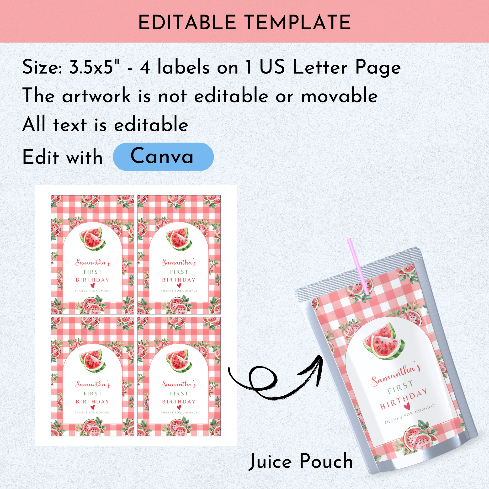 Watermelon Birthday Favor Bundle