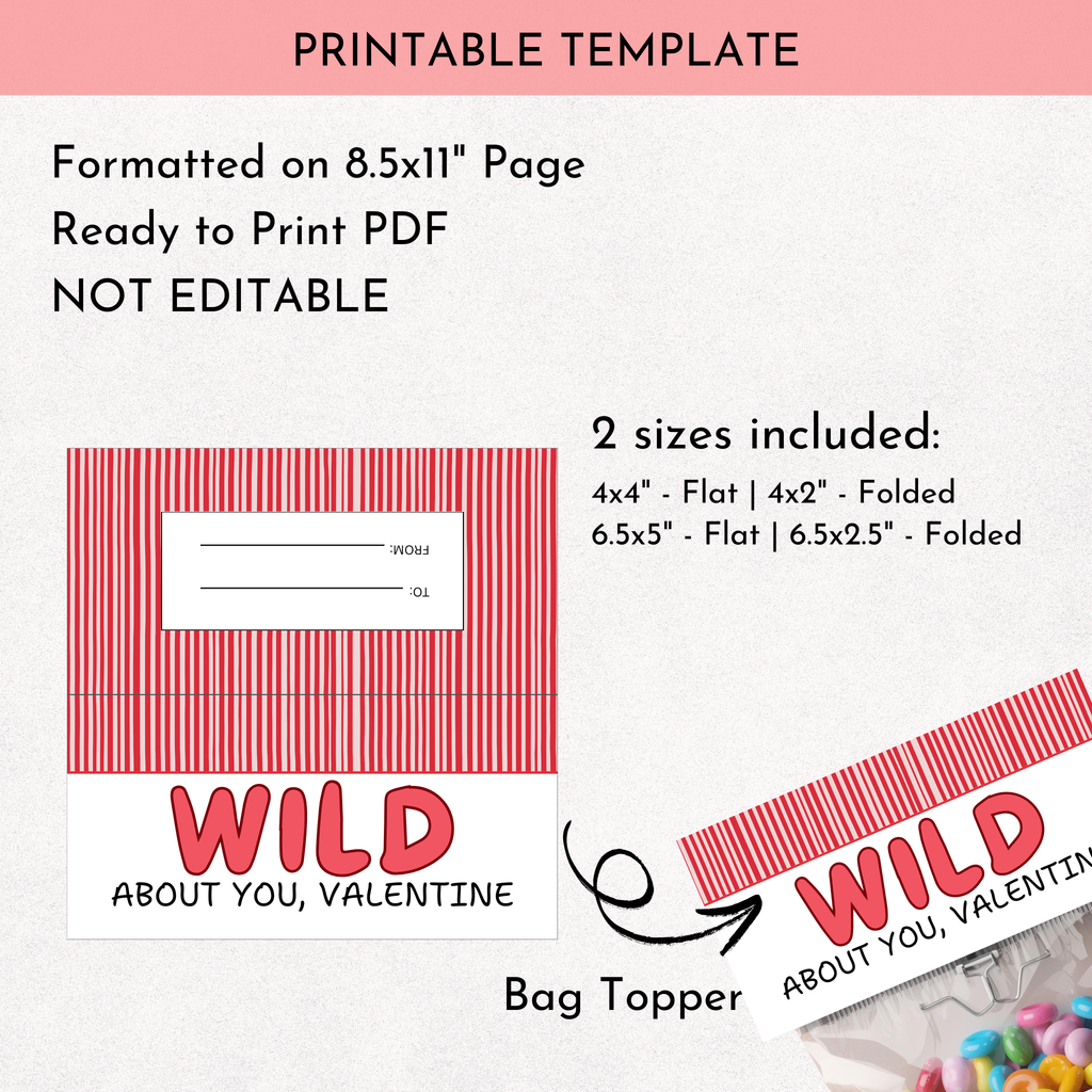 Valentine's Day Bag Topper