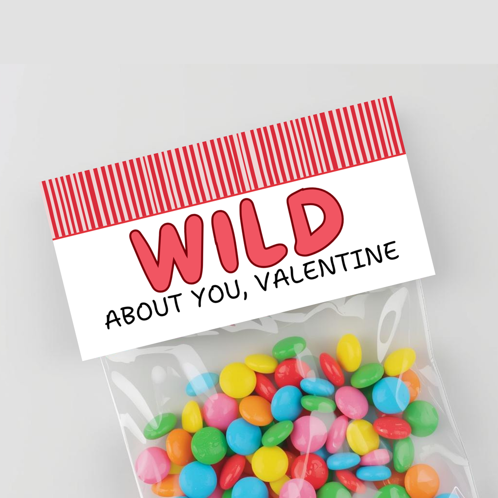 Valentine's Day Bag Topper