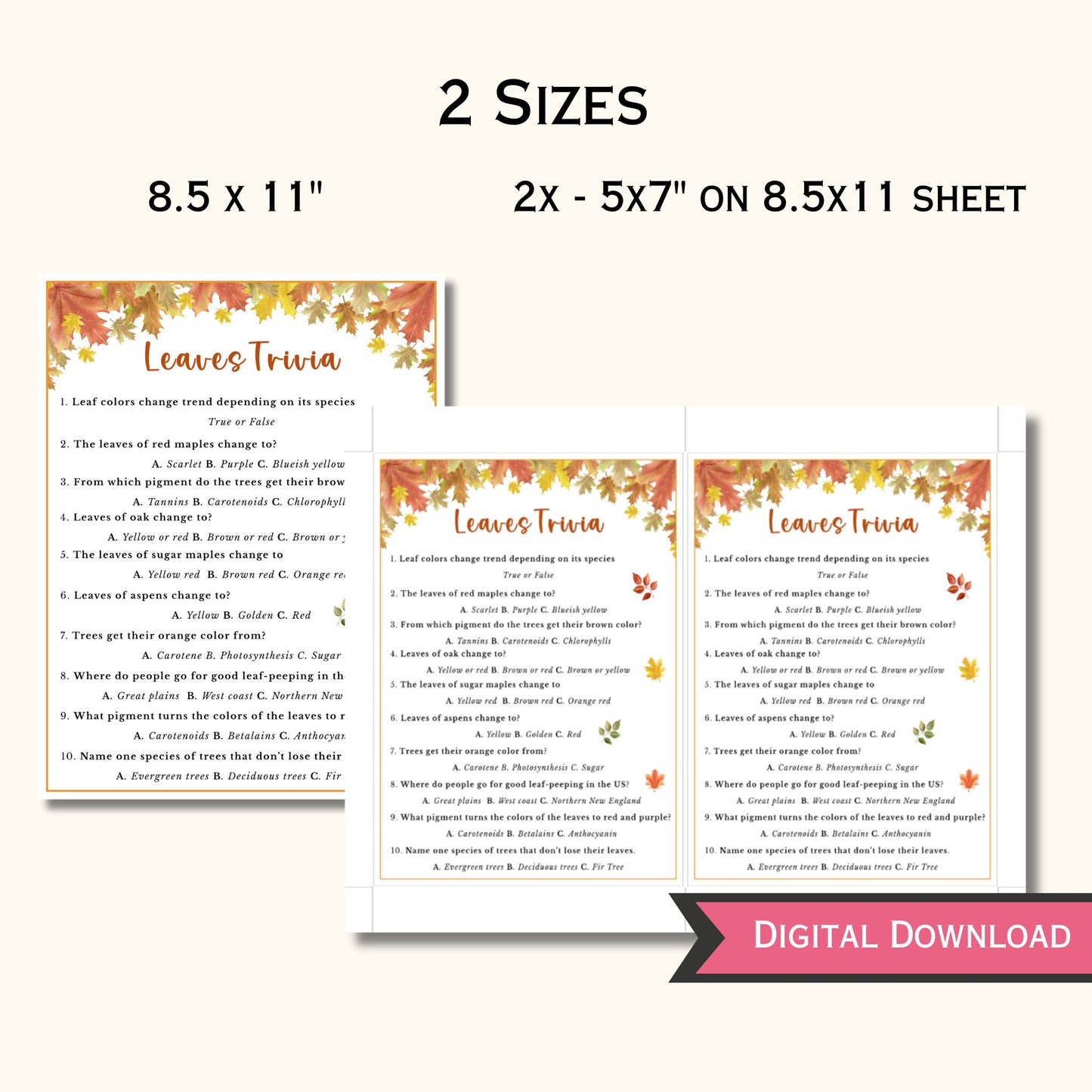 Fall Leaves Trivia Game