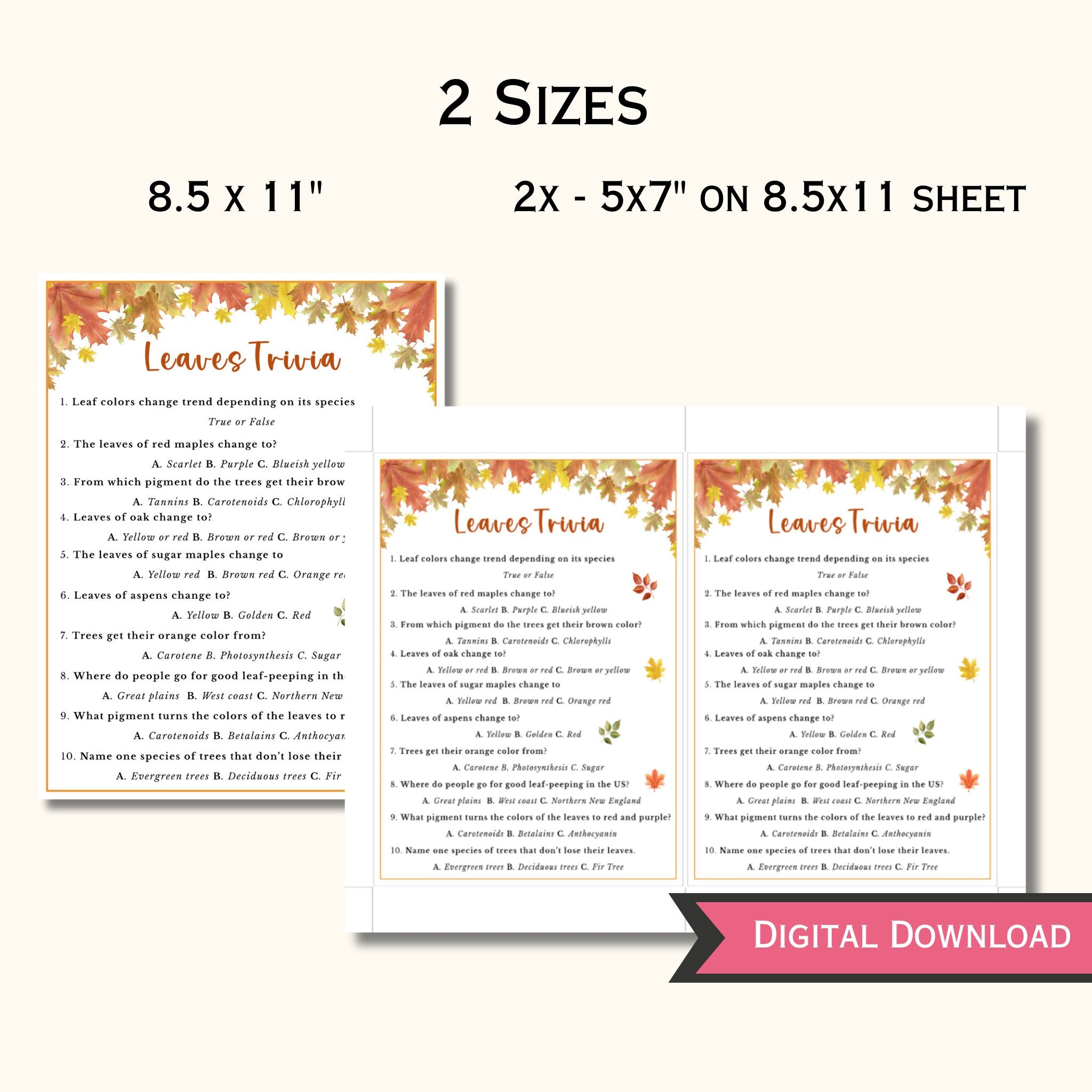 Fall Leaves Trivia Game