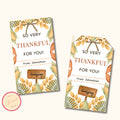 Thanksgiving Appreciation Tags - Editable Template