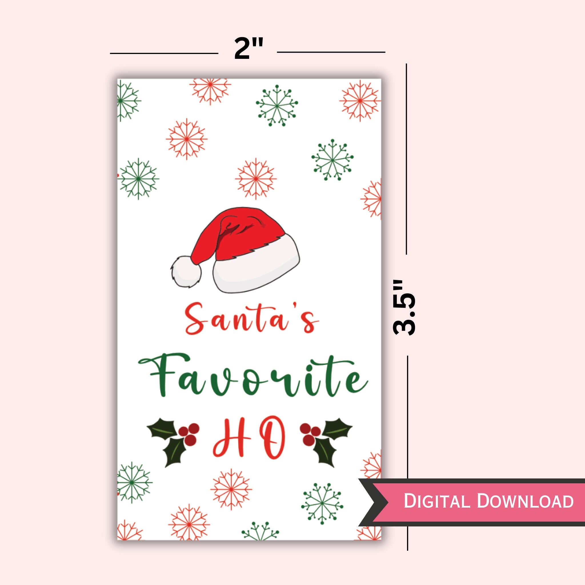 Santa Favourite Ho Gift Tag
