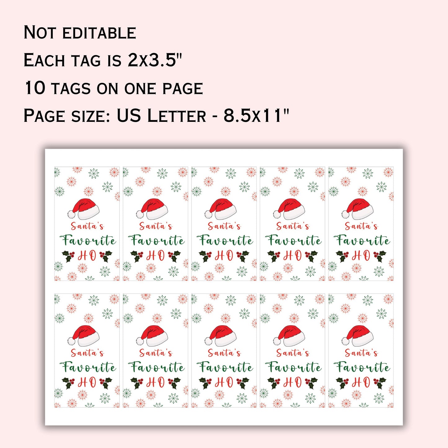 Santa Favourite Ho Gift Tag