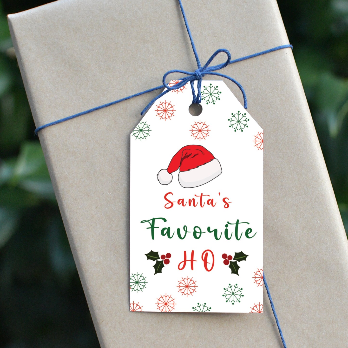 Santa Favourite Ho Gift Tag