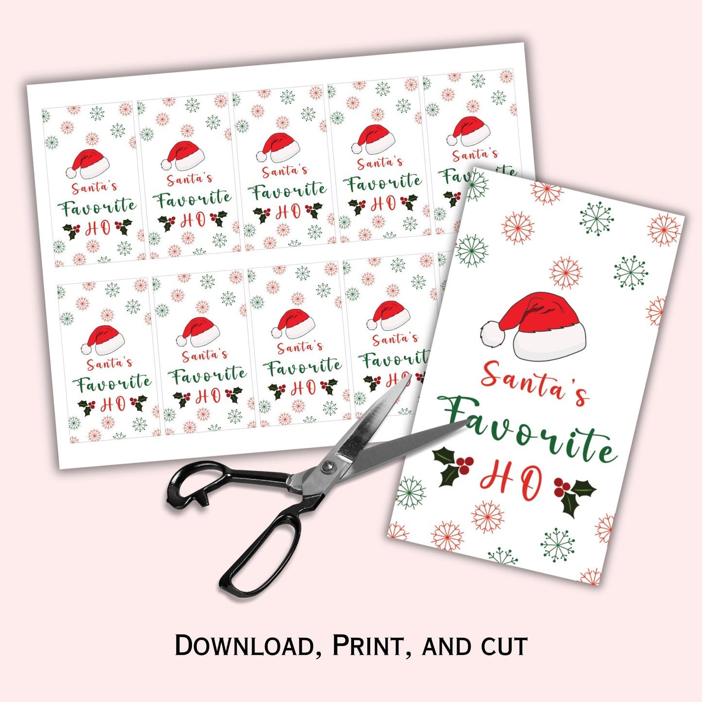 Santa Favourite Ho Gift Tag